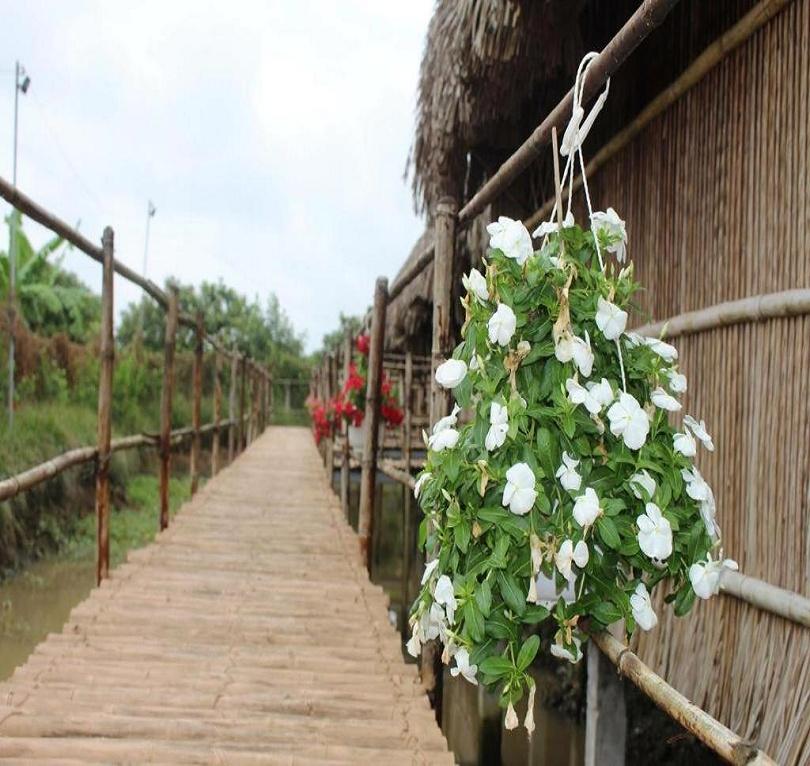 Top 20 Homestay Cần Thơ View Đẹp Gần Trung Tâm, Và Bến Ninh Kiều