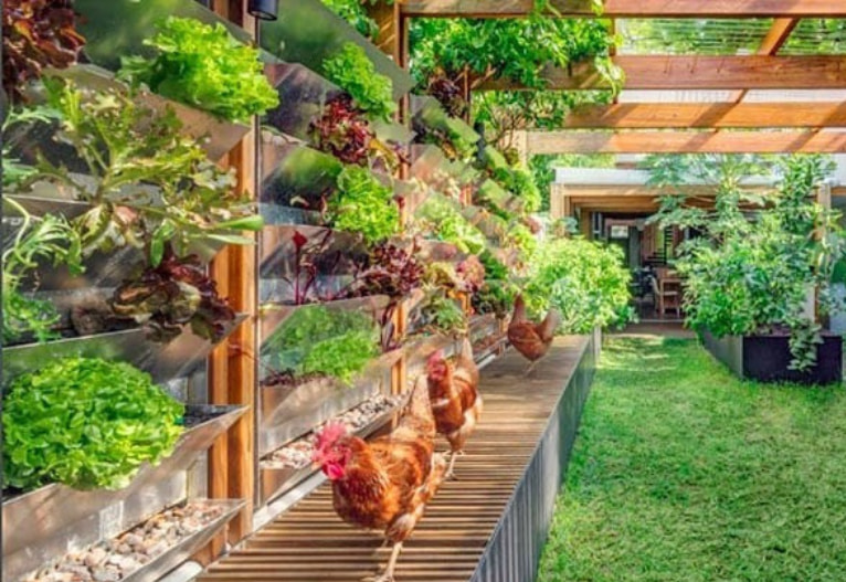 Xu Hướng Thiết Kế Nhà Vườn Quê Đẹp Năm 2022