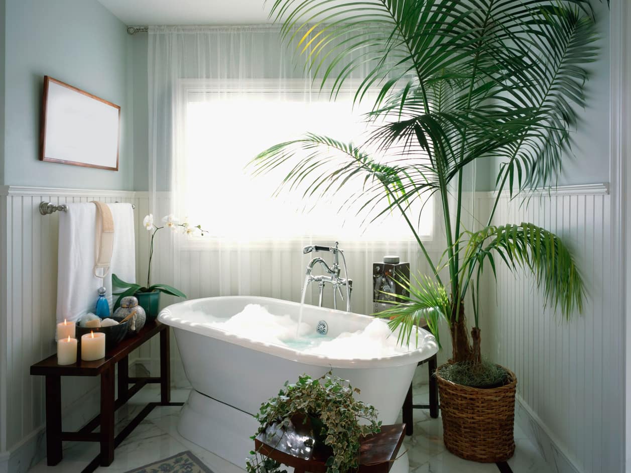 noi-that-nha-tam205 Tổng hợp Mẫu Trang Trí Nội Thất Nhà Tắm Đẹp Nhất 2022