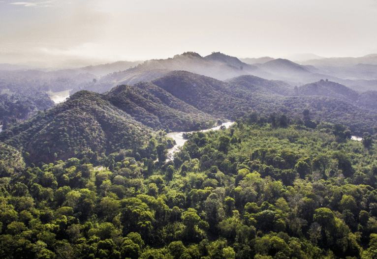 thue-villa-phu-quoc2050 Vườn Quốc Gia Phú Quốc