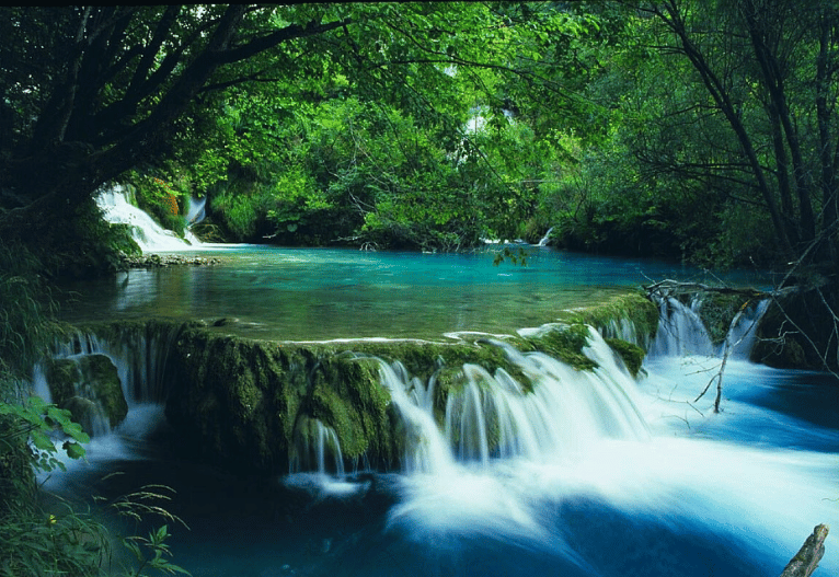 thue-villa-phu-quoc2051 Vườn Quốc Gia Phú Quốc