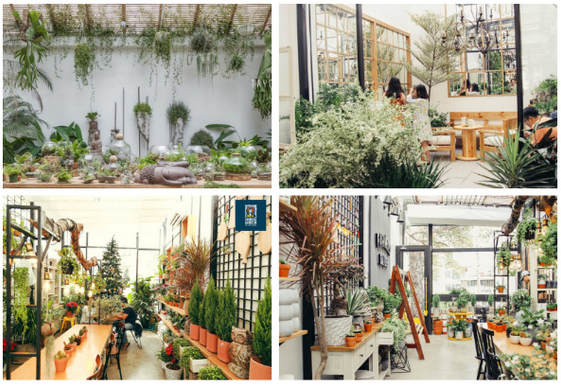 Gia xay quan cafe khung thep