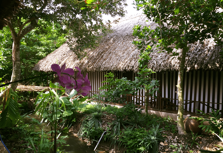 Top 11 homestay Bến Tre giá rẻ, view “xịn sò” miền Tây