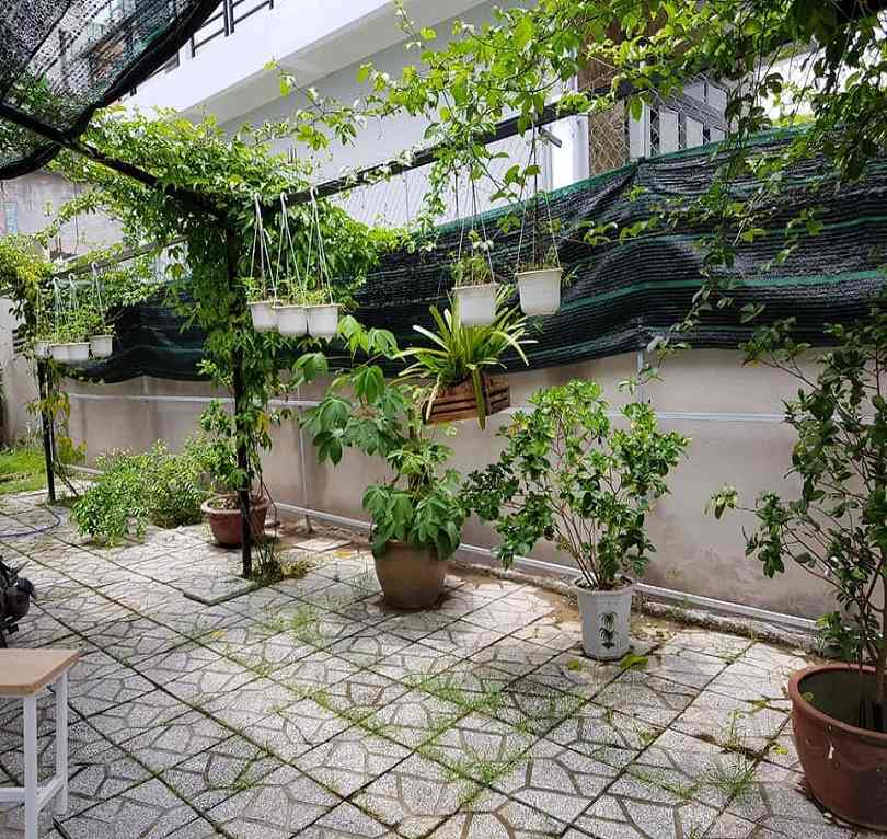 Top 20 Homestay Cần Thơ View Đẹp Gần Trung Tâm, Và Bến Ninh Kiều