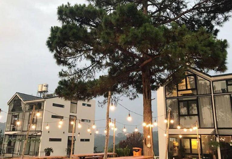 TOP 18+ HOMESTAY ĐÀ LẠT ĐÁNG TRẢI NGHIỆM NHẤT 2023