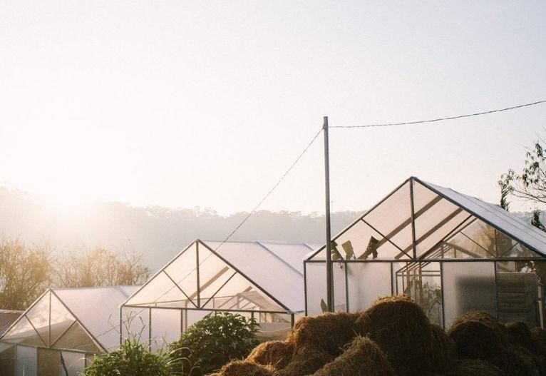 TOP 18+ HOMESTAY ĐÀ LẠT ĐÁNG TRẢI NGHIỆM NHẤT 2023