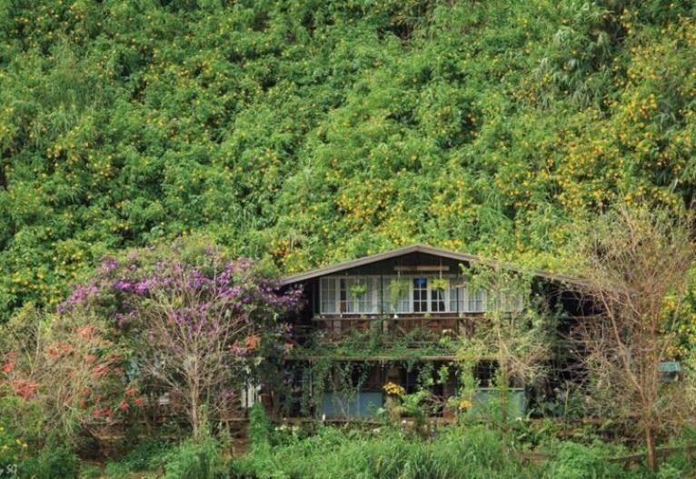 TOP 18+ HOMESTAY ĐÀ LẠT ĐÁNG TRẢI NGHIỆM NHẤT 2023