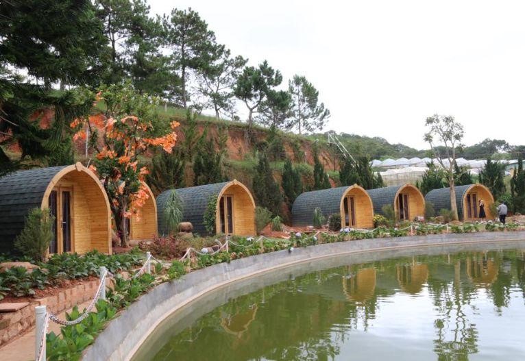 TOP 18+ HOMESTAY ĐÀ LẠT ĐÁNG TRẢI NGHIỆM NHẤT 2023