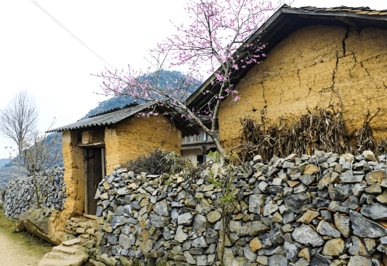 homestay-ha-giang-homie201 Danh Sách 14 Homestay Hà Giang Hot Nhất 2023