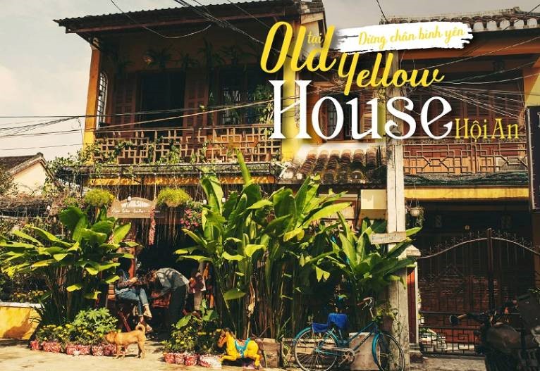 Top 14 Homestay Hội An Đẹp, Gần Phố Cổ, Thoả Thích Tham Quan