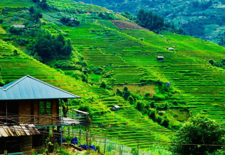 homestay-mu-cang-chai-do-gu homestay-mu-cang-chai