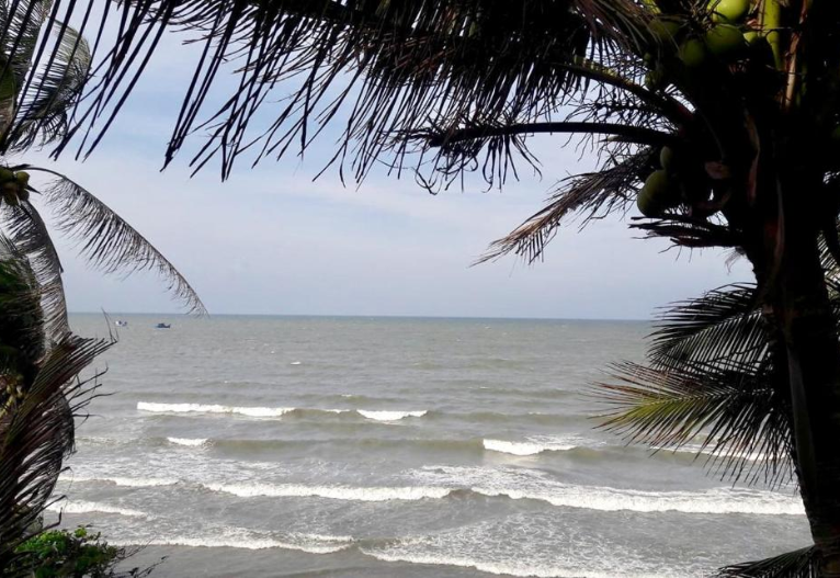 Homestay BONO Coffee & Tea