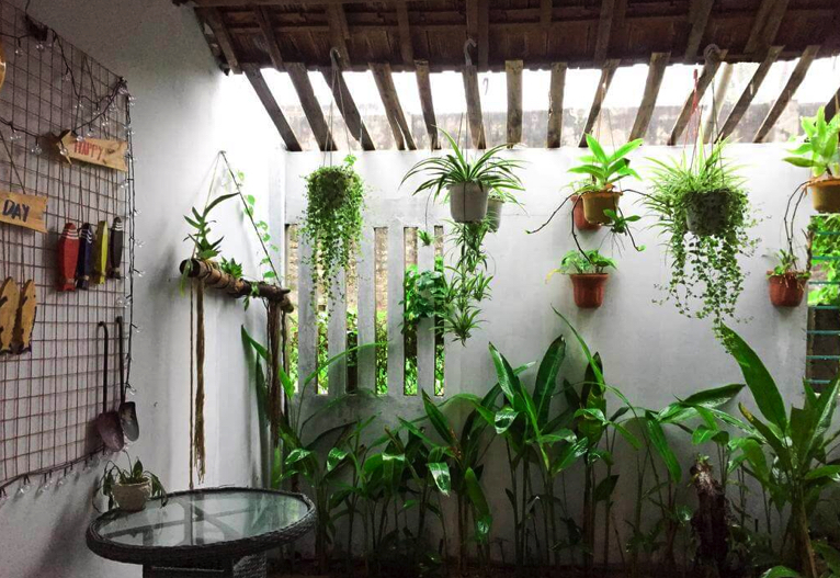 homestay-phu-yen2011