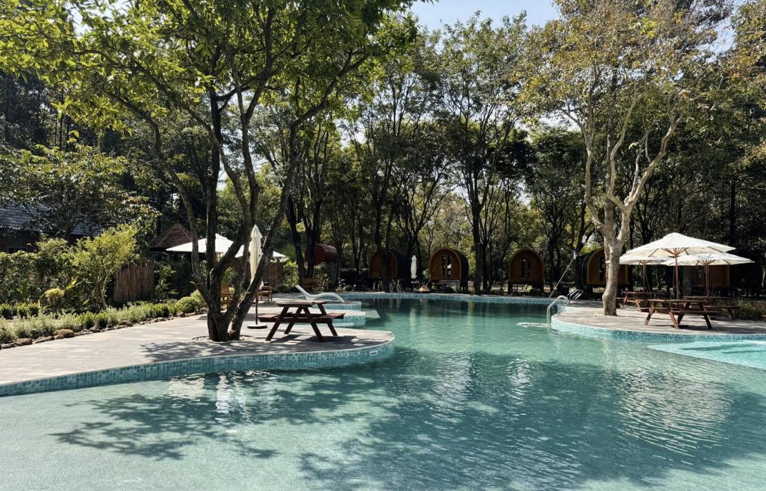 Bể bơi tại The Leaf Cafe & Glamping Phước Hải
