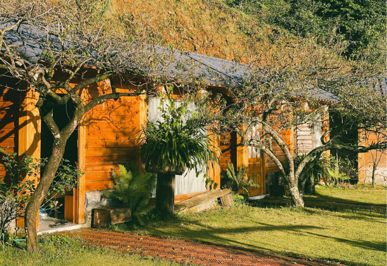 Tổng Hợp 15 Homestay SaPa Giá Rẻ View Đẹp Nhất 2023
