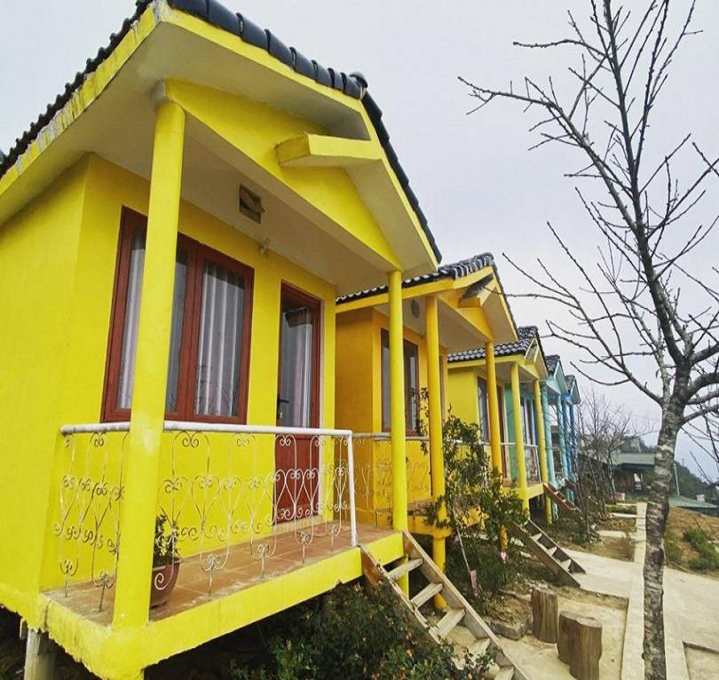 Top 12 Homestay Tà Xùa Tuyệt Đẹp Săn Mây Triệu View 2023