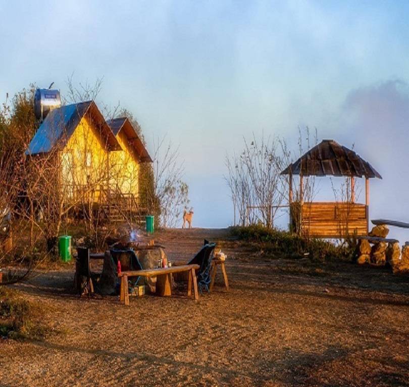 Top 12 Homestay Tà Xùa Tuyệt Đẹp Săn Mây Triệu View 2023