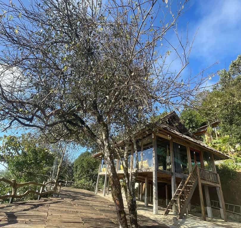 Top 12 Homestay Tà Xùa Tuyệt Đẹp Săn Mây Triệu View 2023