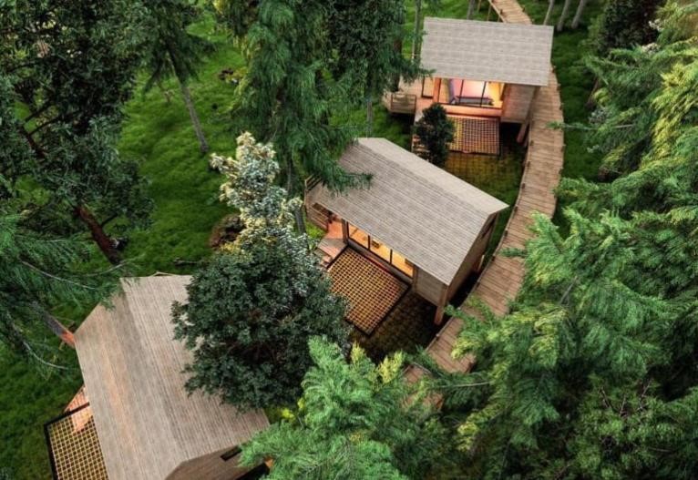 TOP 21+ Homestay Tam Đảo lý tưởng dành cho gia đình và các cặp đôi