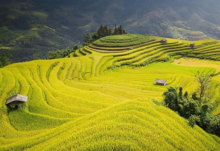 Điểm Danh TOP 5+ Resort Yên Bái Đốn Tim Khách Du Lịch Năm 2023