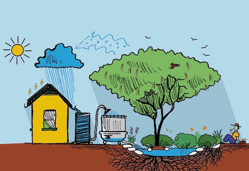 Tips Làm Cho Sân Vườn Của Bạn Thân Thiện Với Môi Trường