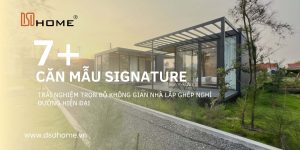 căn mẫu dsd home